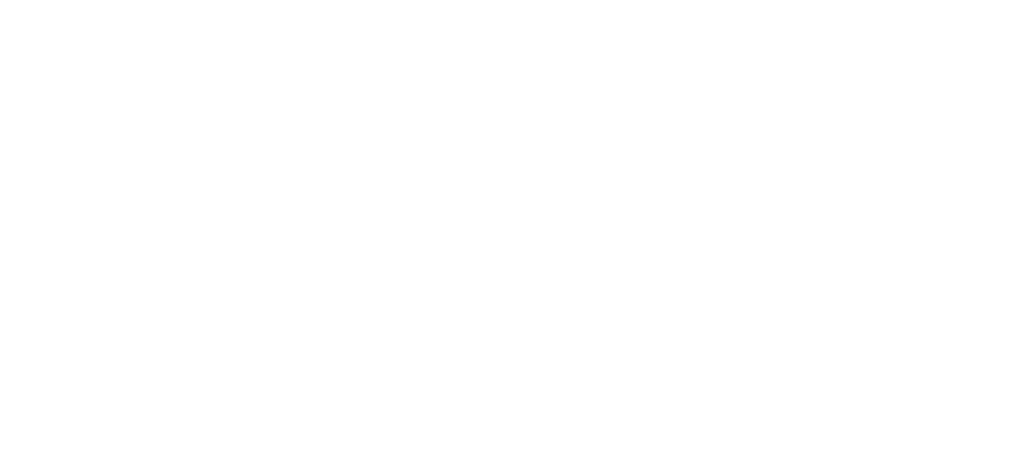 SOLID Logo