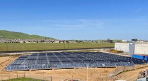 Solar thermal farm for Ball Corporation